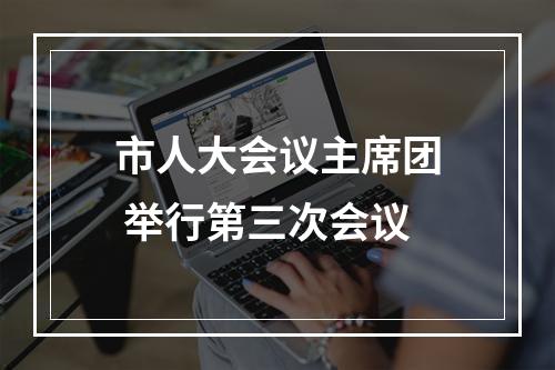 市人大会议主席团 举行第三次会议