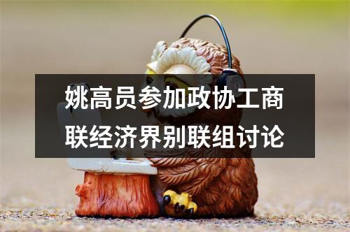 姚高员参加政协工商联经济界别联组讨论