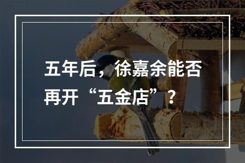 五年后，徐嘉余能否再开“五金店”？