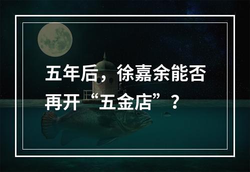 五年后，徐嘉余能否再开“五金店”？