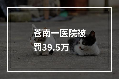苍南一医院被罚39.5万