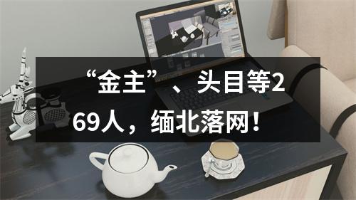 “金主”、头目等269人，缅北落网！