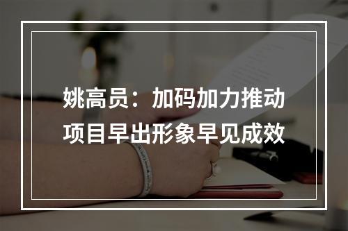 姚高员：加码加力推动项目早出形象早见成效