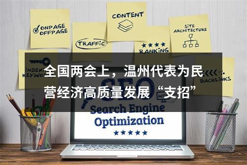 全国两会上，温州代表为民营经济高质量发展“支招”