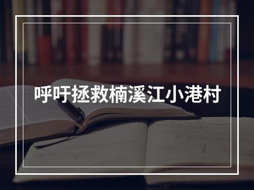 呼吁拯救楠溪江小港村