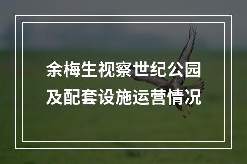 余梅生视察世纪公园及配套设施运营情况