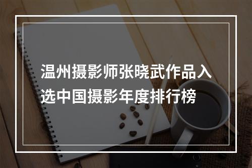 温州摄影师张晓武作品入选中国摄影年度排行榜