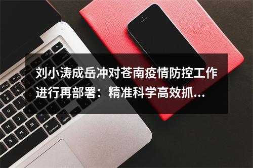 刘小涛成岳冲对苍南疫情防控工作进行再部署：精准科学高效抓好落实