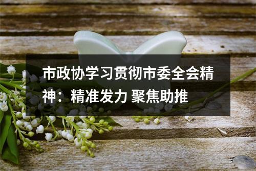 市政协学习贯彻市委全会精神：精准发力 聚焦助推