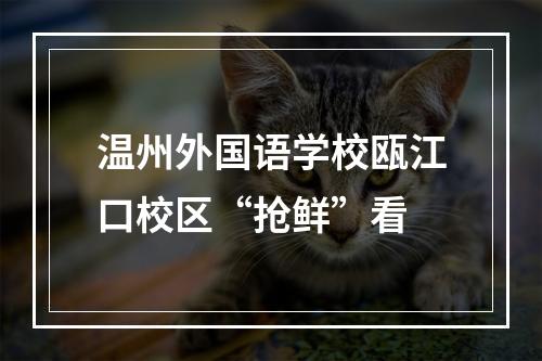 温州外国语学校瓯江口校区“抢鲜”看