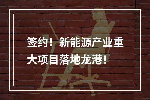 签约！新能源产业重大项目落地龙港！