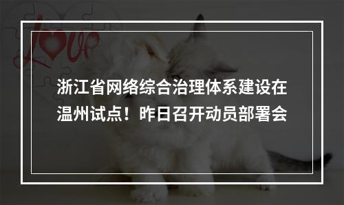 浙江省网络综合治理体系建设在温州试点！昨日召开动员部署会