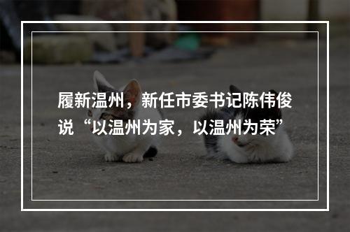 履新温州，新任市委书记陈伟俊说“以温州为家，以温州为荣”
