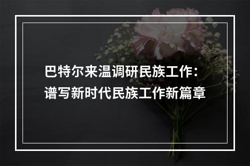 巴特尔来温调研民族工作：谱写新时代民族工作新篇章