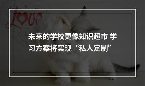未来的学校更像知识超市 学习方案将实现“私人定制”