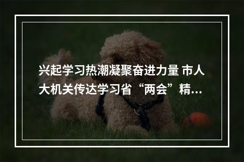 兴起学习热潮凝聚奋进力量 市人大机关传达学习省“两会”精神
