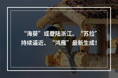 “海葵”或登陆浙江、“苏拉”持续逼近、“鸿雁”最新生成！