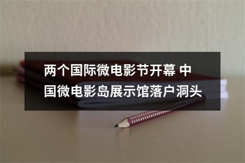 两个国际微电影节开幕 中国微电影岛展示馆落户洞头