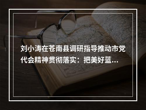 刘小涛在苍南县调研指导推动市党代会精神贯彻落实：把美好蓝图转化为振兴发展的生动实践