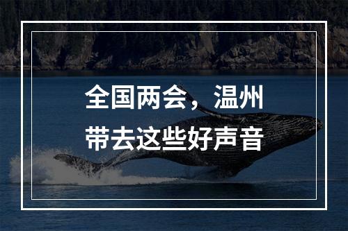 全国两会，温州带去这些好声音