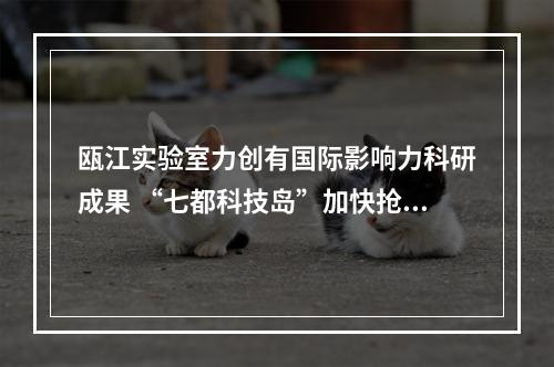 瓯江实验室力创有国际影响力科研成果 “七都科技岛”加快抢占科研产业赛道