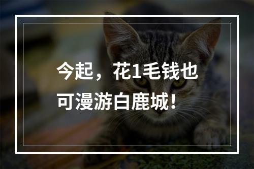 今起，花1毛钱也可漫游白鹿城！