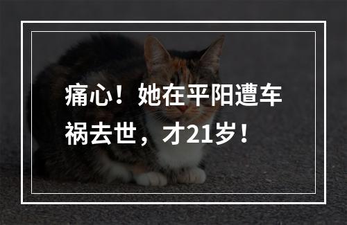 痛心！她在平阳遭车祸去世，才21岁！