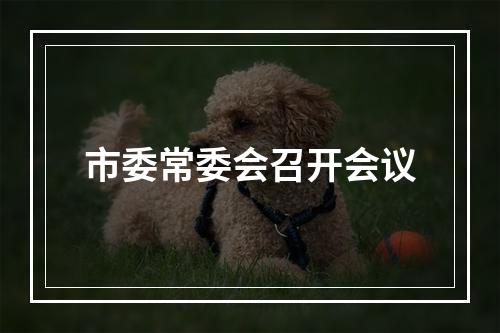 市委常委会召开会议