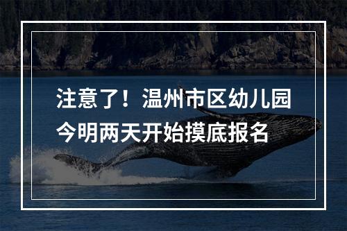 注意了！温州市区幼儿园今明两天开始摸底报名