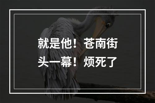 就是他！苍南街头一幕！烦死了