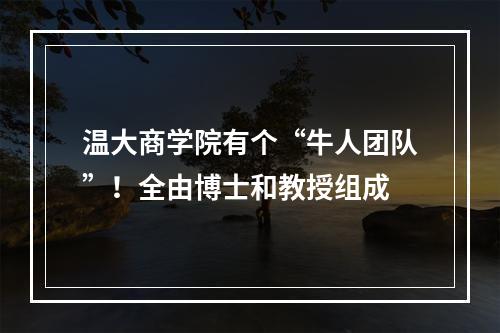 温大商学院有个“牛人团队”！全由博士和教授组成