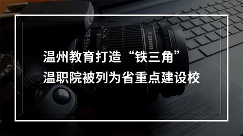 温州教育打造“铁三角” 温职院被列为省重点建设校