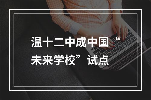 温十二中成中国“未来学校”试点