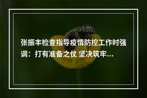 张振丰检查指导疫情防控工作时强调：打有准备之仗 坚决筑牢防线