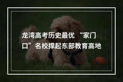龙湾高考历史最优 “家门口”名校撑起东部教育高地