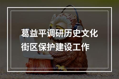 葛益平调研历史文化街区保护建设工作