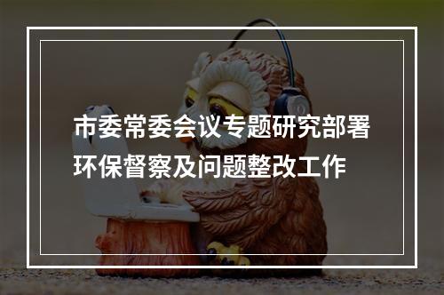 市委常委会议专题研究部署环保督察及问题整改工作