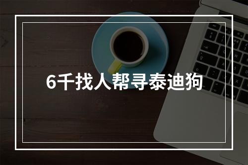 6千找人帮寻泰迪狗