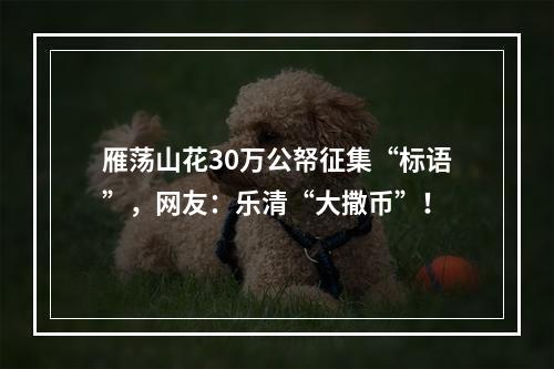 雁荡山花30万公帑征集“标语”，网友：乐清“大撒币”！