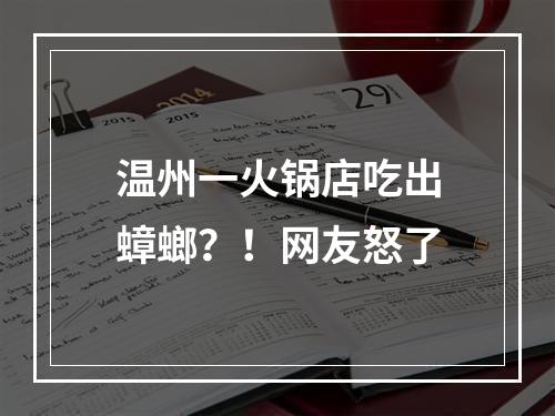 温州一火锅店吃出蟑螂？！网友怒了
