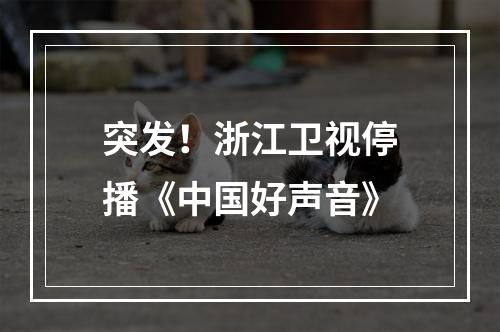 突发！浙江卫视停播《中国好声音》