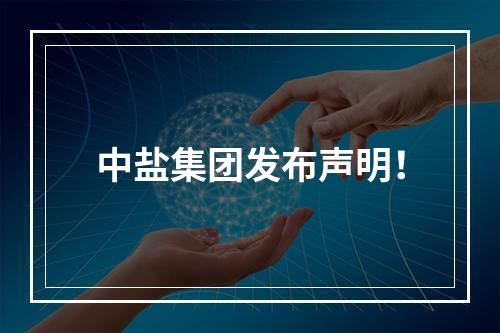 中盐集团发布声明！