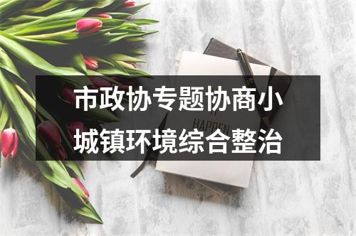 市政协专题协商小城镇环境综合整治
