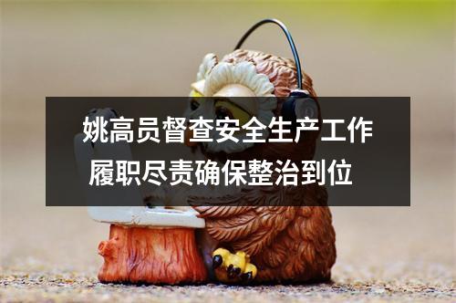 姚高员督查安全生产工作 履职尽责确保整治到位