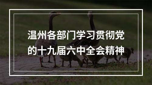 温州各部门学习贯彻党的十九届六中全会精神