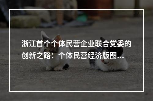 浙江首个个体民营企业联合党委的创新之路：个体民营经济版图扩展到哪里 党旗就插到哪里