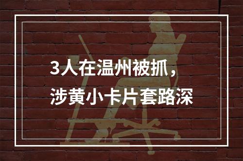 3人在温州被抓，涉黄小卡片套路深