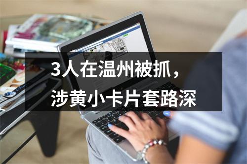 3人在温州被抓，涉黄小卡片套路深
