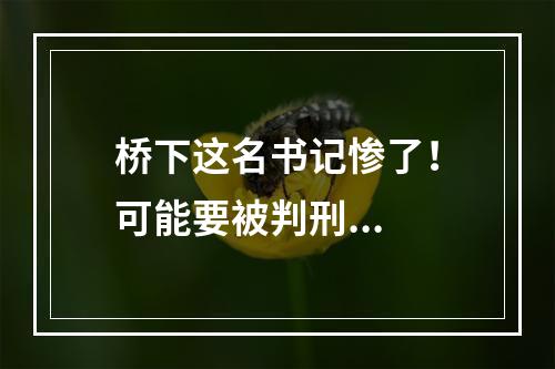 桥下这名书记惨了！可能要被判刑...