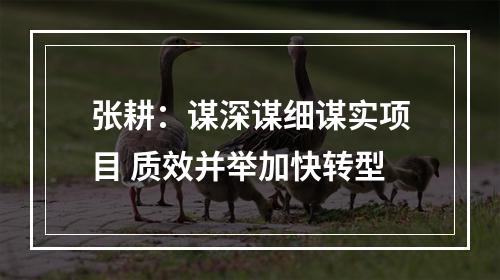 张耕：谋深谋细谋实项目 质效并举加快转型